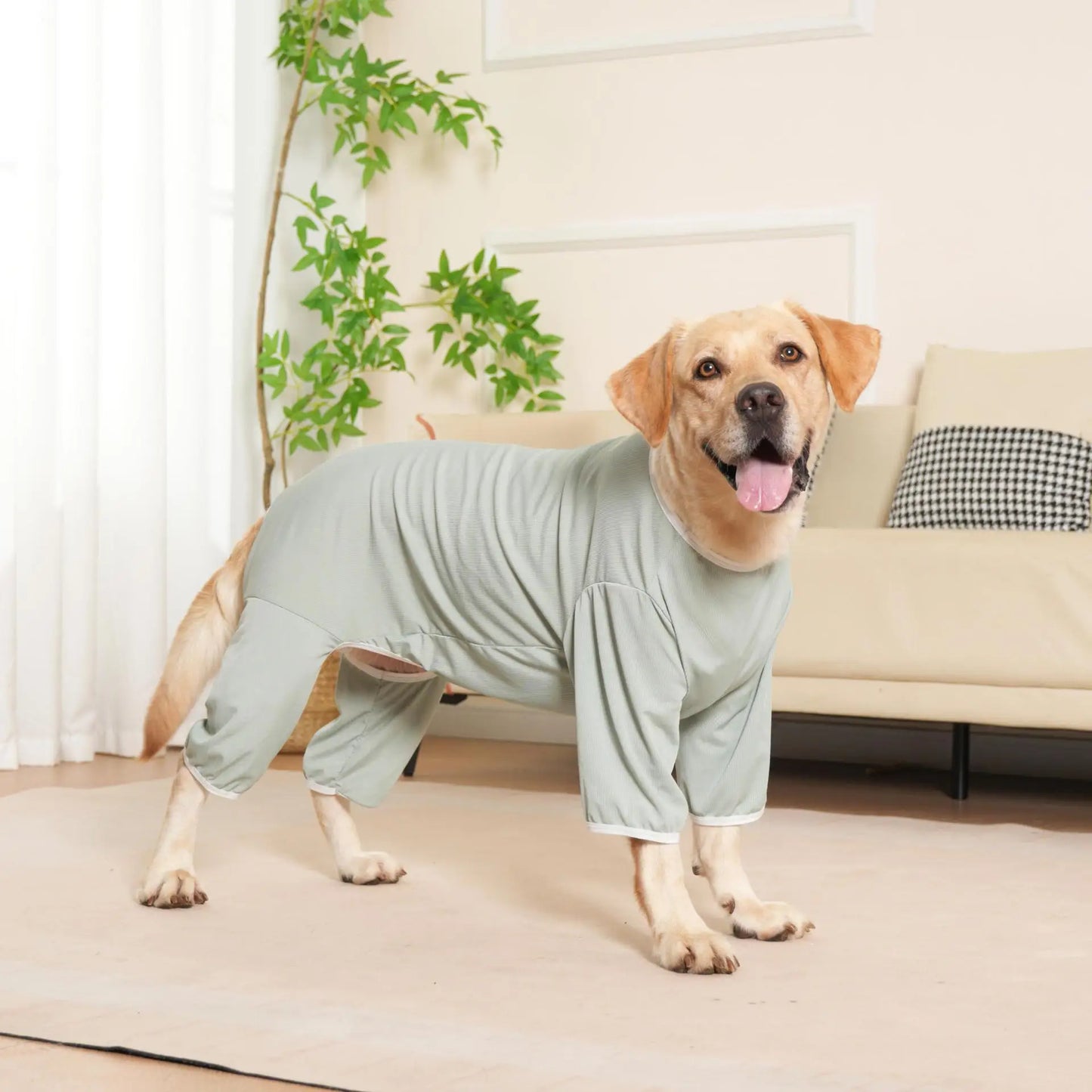 Cooling Summer Dog Pajamas – Soft Recovery Onesie for Medium & Large Dogs