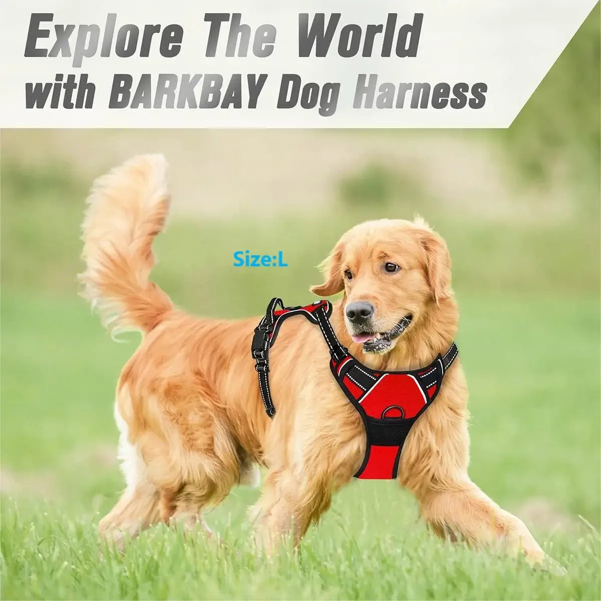 No-Pull Front Clip Dog Harness – Reflective & Heavy Duty