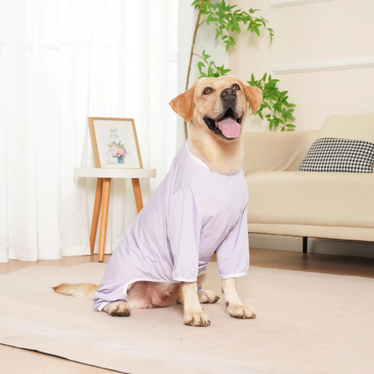 Cooling Summer Dog Pajamas – Soft Recovery Onesie for Medium & Large Dogs