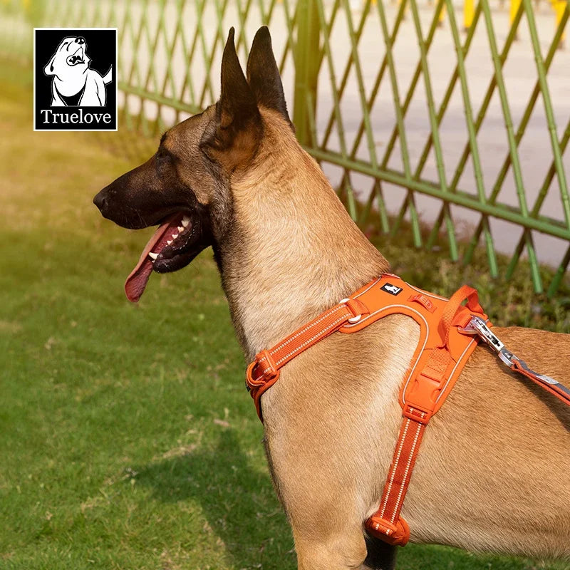 High Visibility Orange Dog Harness