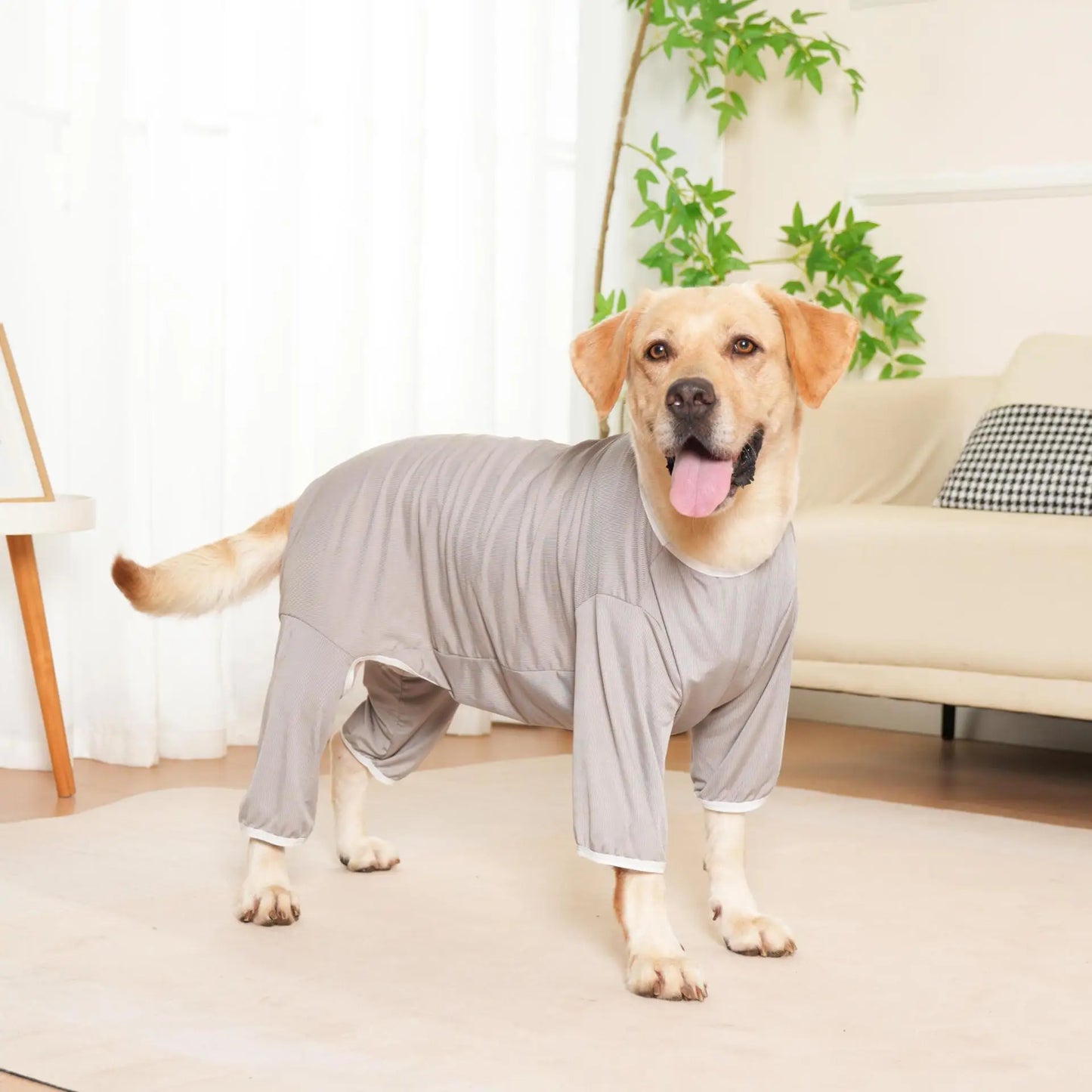 Cooling Summer Dog Pajamas – Soft Recovery Onesie for Medium & Large Dogs