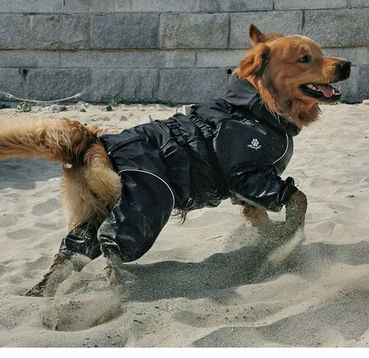 Dog Raincoat