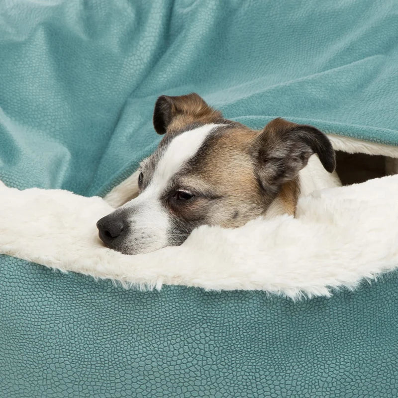 Orthopedic Dog Bed with Hooded Blanket - Vancouver Winter Essential
