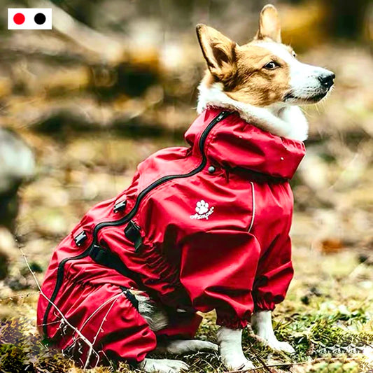 Dog Raincoat