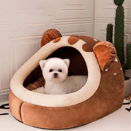 Pet Bed - Vancouver's Favorite