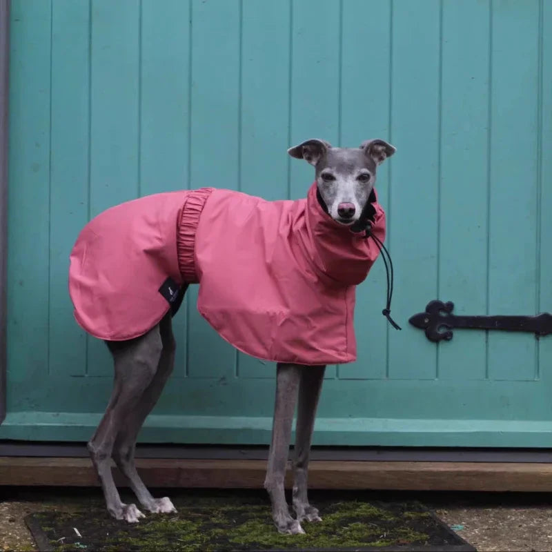 Rain Jacket - Waterproof Polyester Coat for Large Breeds