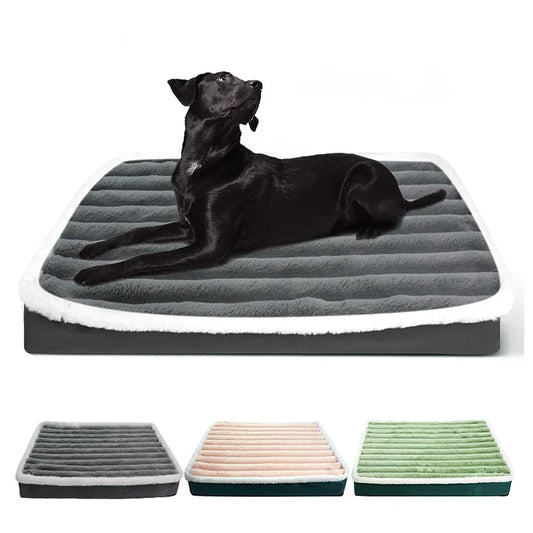 Orthopedic Dog Bed – Rectangular & Removable