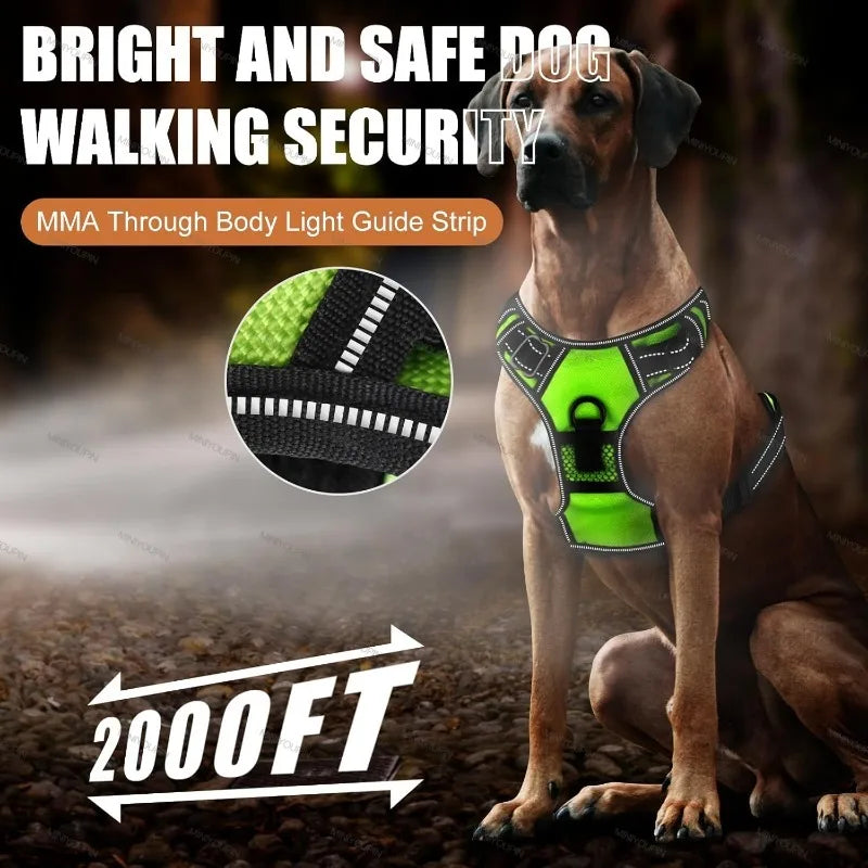 LED Rechargeable Dog Harness - Glowing Safety Vest for Night Walking