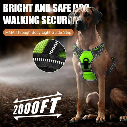LED Rechargeable Dog Harness - Glowing Safety Vest for Night Walking