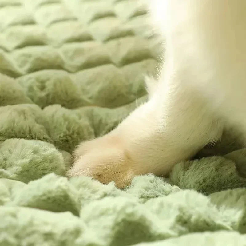 Orthopedic Memory Foam Dog Bed – Removable & Machine Washable
