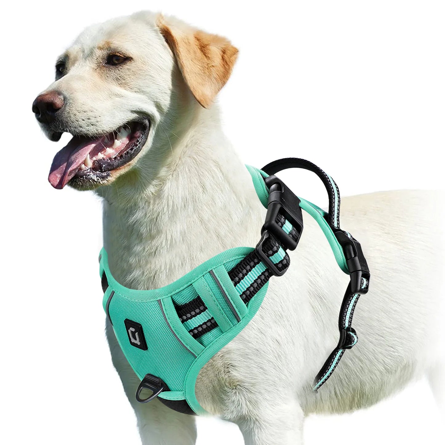 No-Pull Padded Dog Vest Harness – Easy Contro