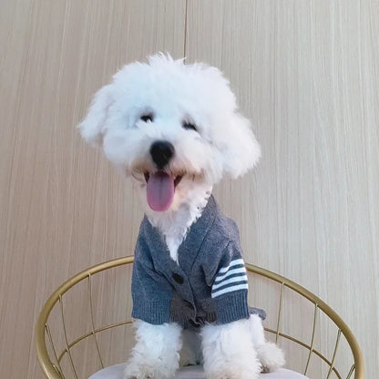 Trendy Knit Sweater Cardigan - Bear Shaped Dog Clothes