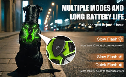 LED Rechargeable Dog Harness - Glowing Safety Vest for Night Walking