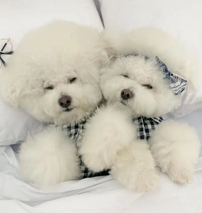 Plaid Dog Pajamas – Cute Summer Costume