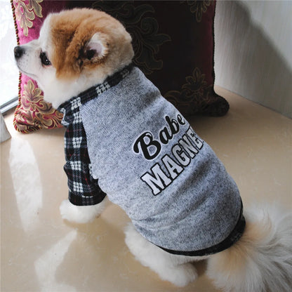 Winter Dog Hoodie – Cozy Small Dog Sweatshirt