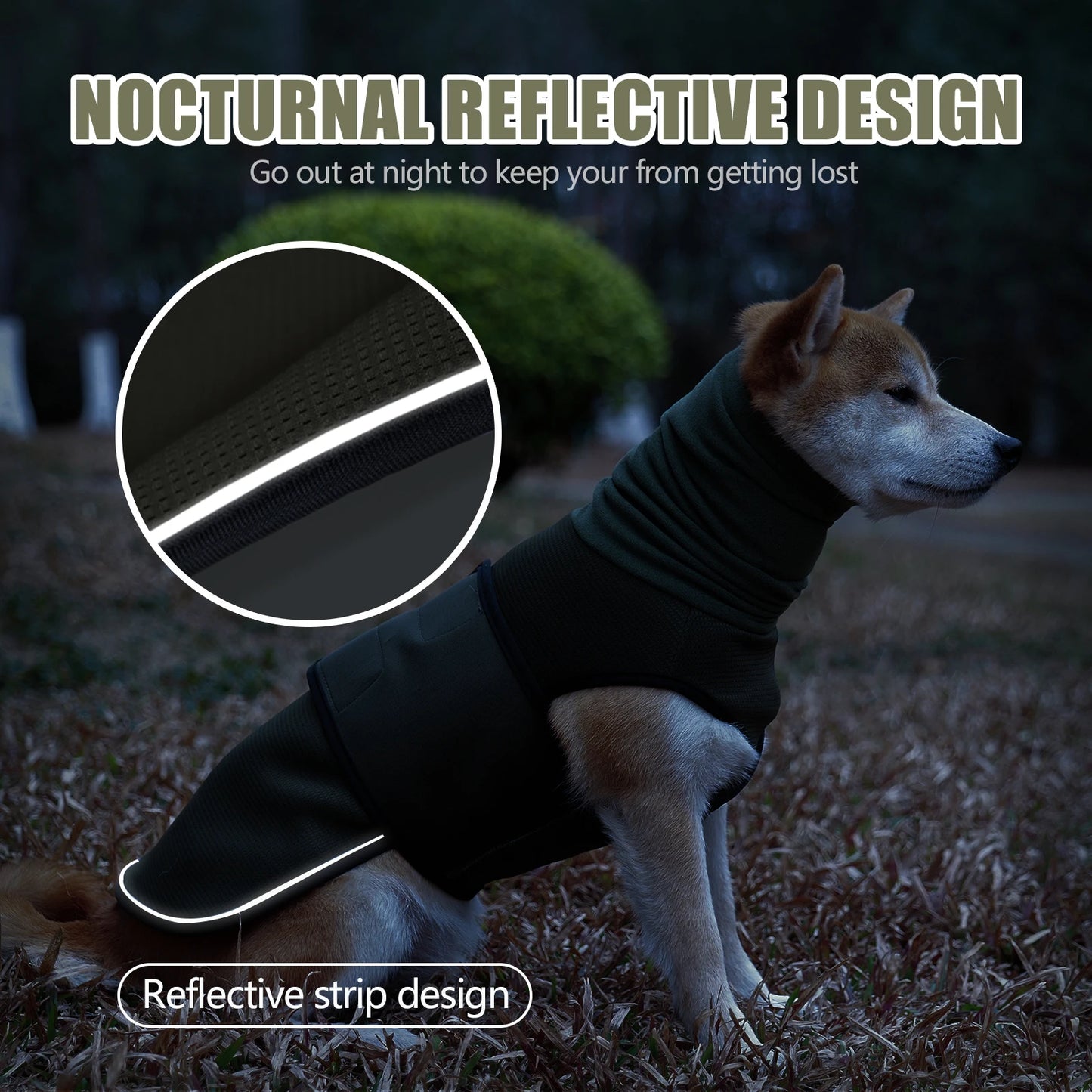 Dog Recovery Suit - Post-Surgery Comfort & Protection