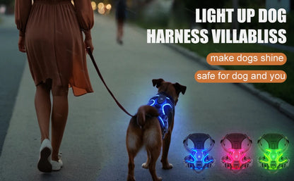 LED Rechargeable Dog Harness - Glowing Safety Vest for Night Walking