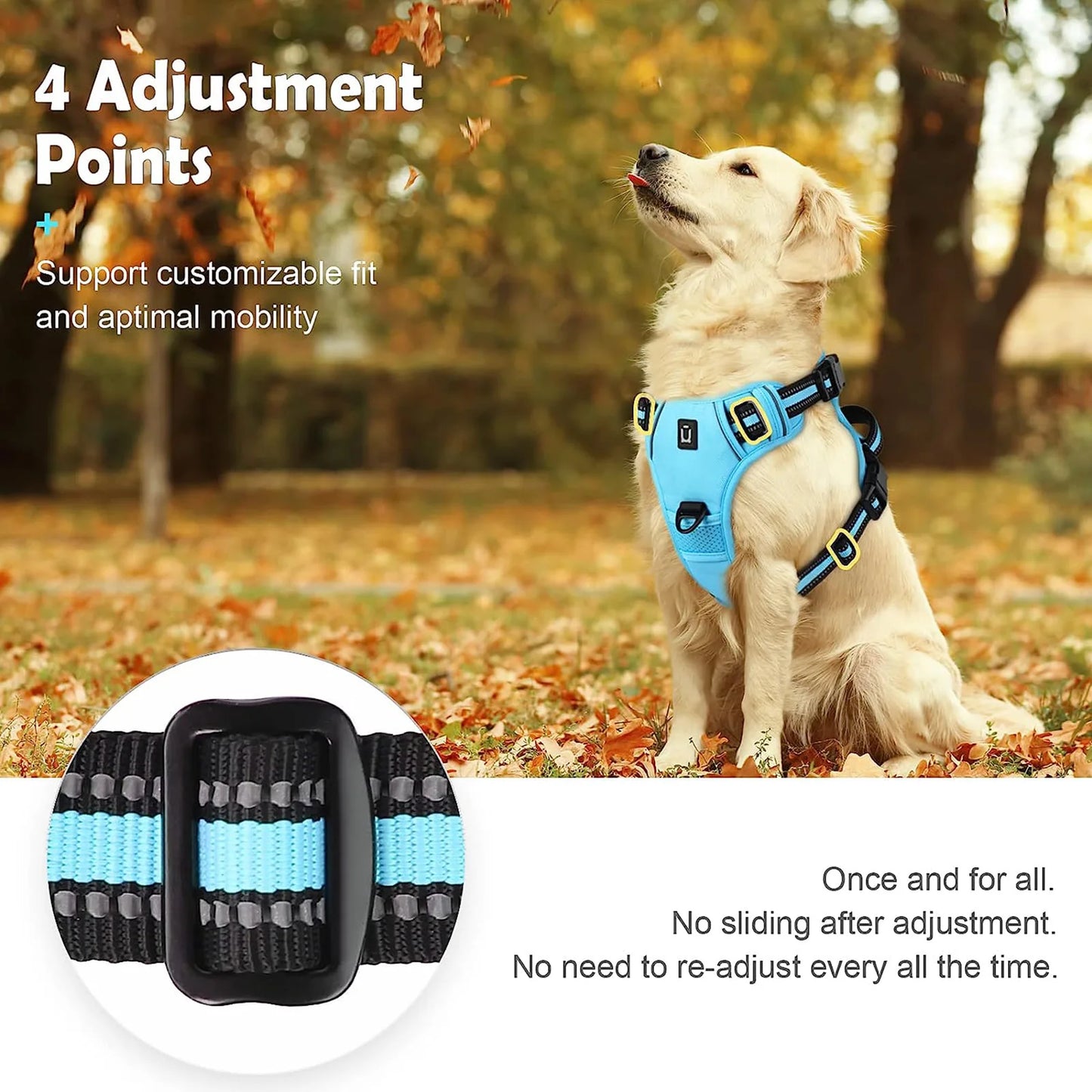 No-Pull Padded Dog Vest Harness – Easy Contro