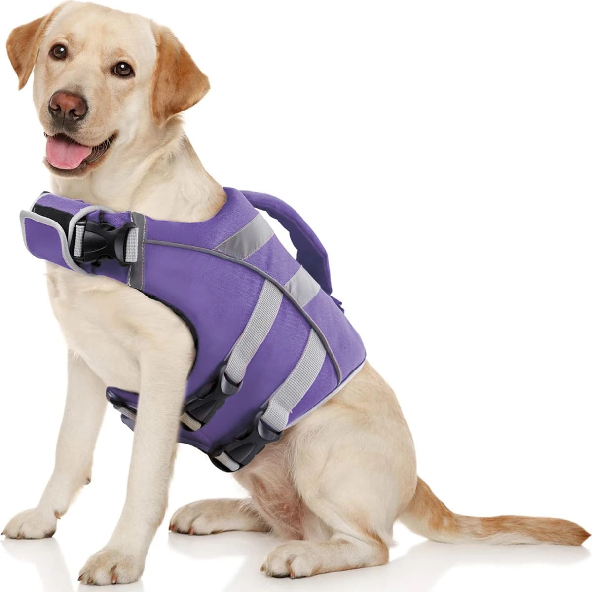 Dog Life Jacket – Safe, Reflective & Stylish