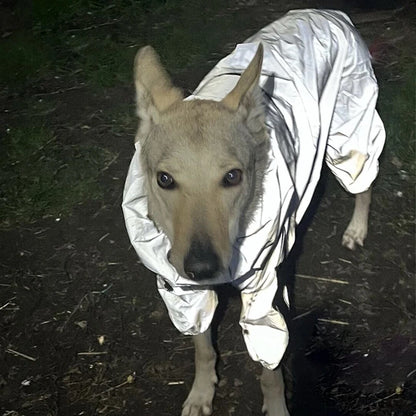 Waterproof Dog Raincoat - All-Weather Pet Jumpsuit