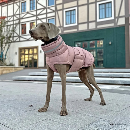 Winter Coat - Fleece Down Jacket for Dogs
