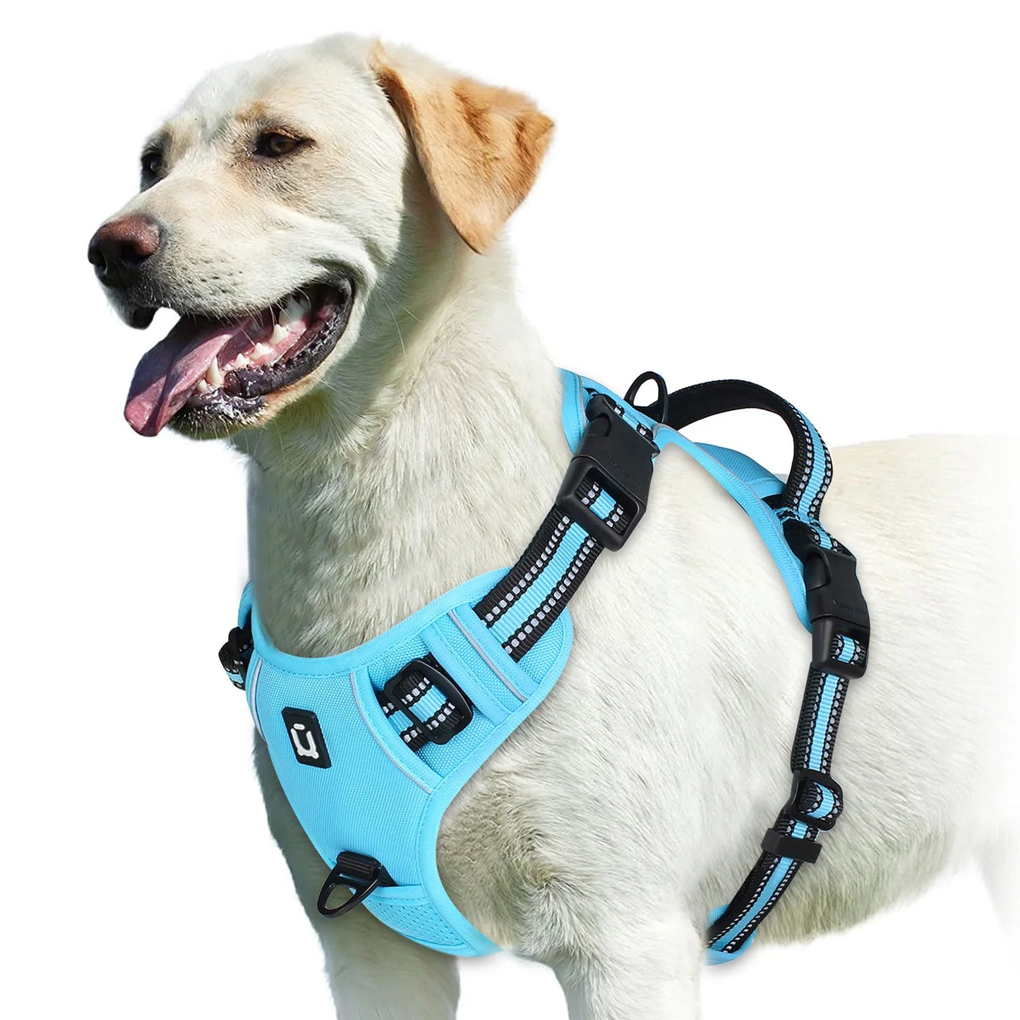 No-Pull Padded Dog Vest Harness – Easy Contro