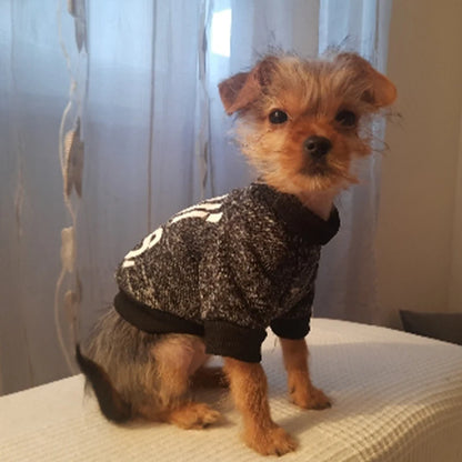 Winter Dog Hoodie – Cozy Small Dog Sweatshirt