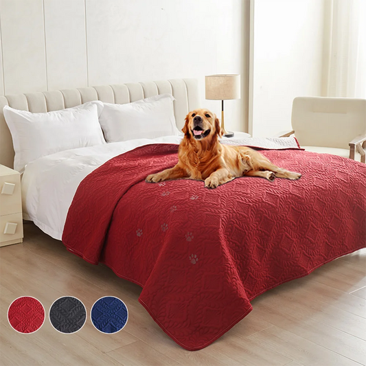 Waterproof Pet Bed Cover – Furniture, Sofa & Mattress Protector for Vancouver Pets