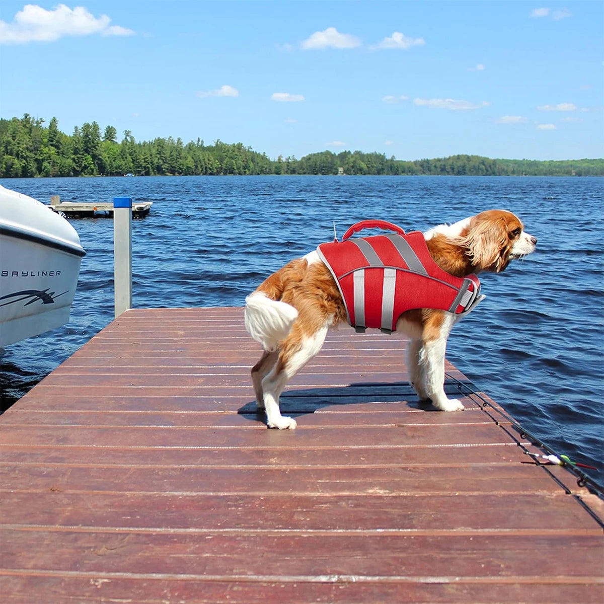 Dog Life Jacket – Safe, Reflective & Stylish