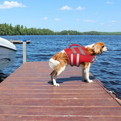 Dog Life Jacket – Safe, Reflective & Stylish