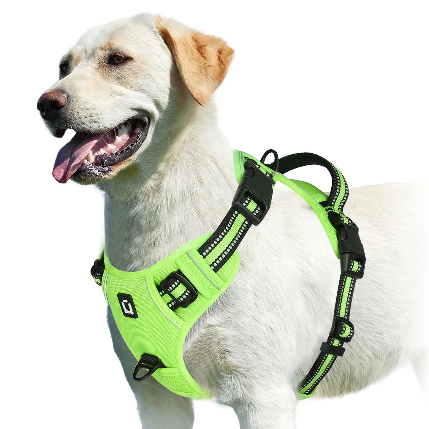 No-Pull Padded Dog Vest Harness – Easy Contro