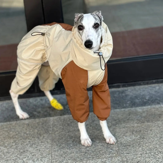Winter Jacket - 4-Legged Fleece Coat for Greyhound