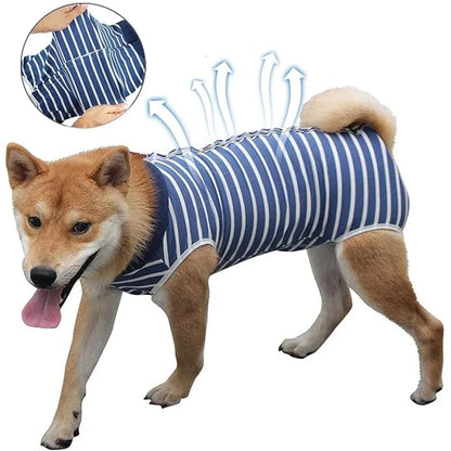 Dog Recovery Onesie – Post-Surgery Protective Vest