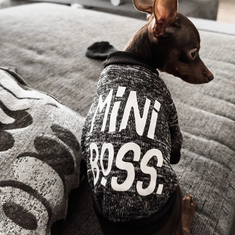 Winter Dog Hoodie – Cozy Small Dog Sweatshirt