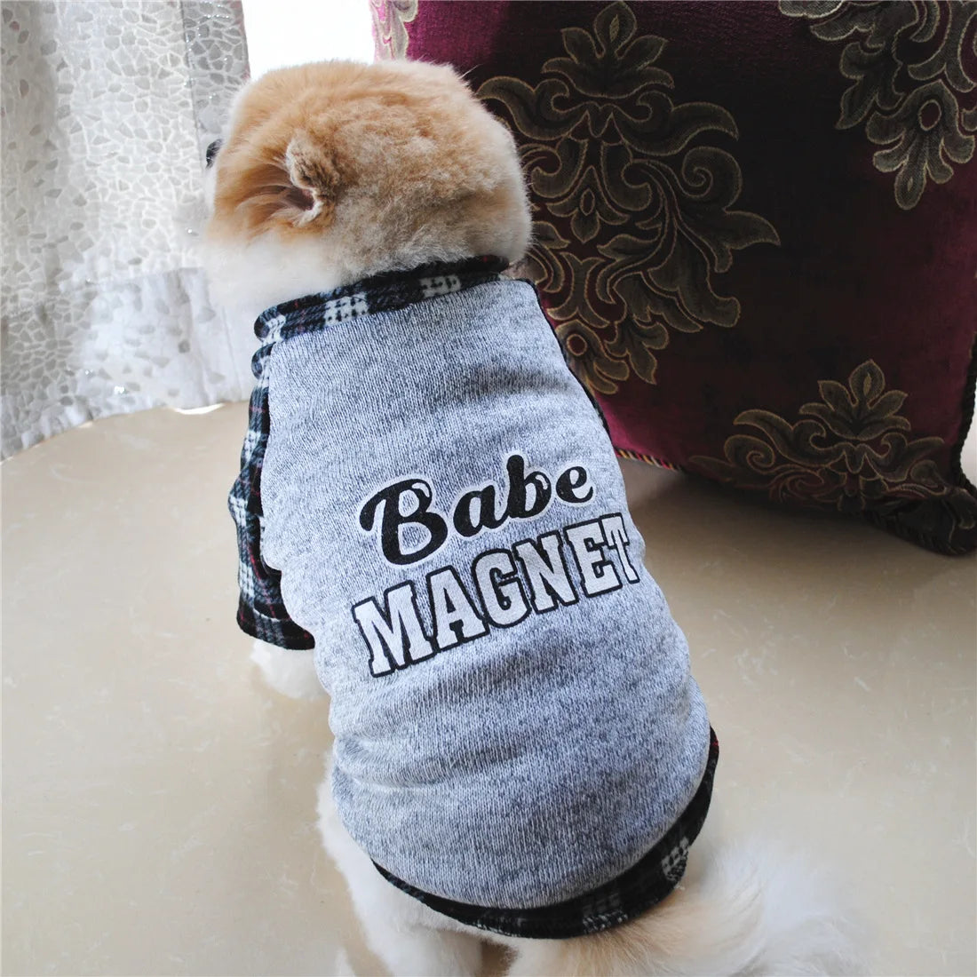 Winter Dog Hoodie – Cozy Small Dog Sweatshirt