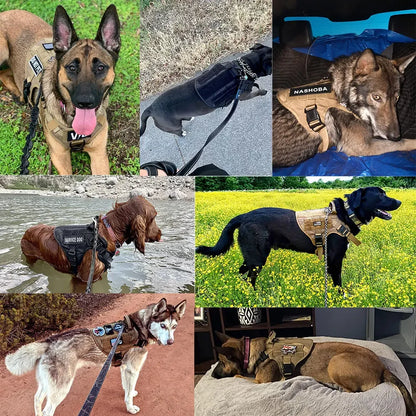 Tactical Dog Vest Harness with Leash & Molle Pouches – Adjustable