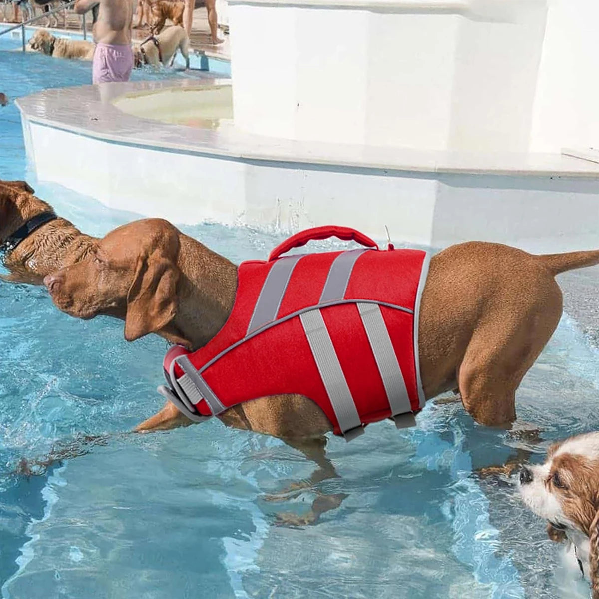 Dog Life Jacket – Safe, Reflective & Stylish