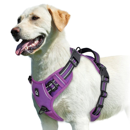 No-Pull Padded Dog Vest Harness – Easy Contro