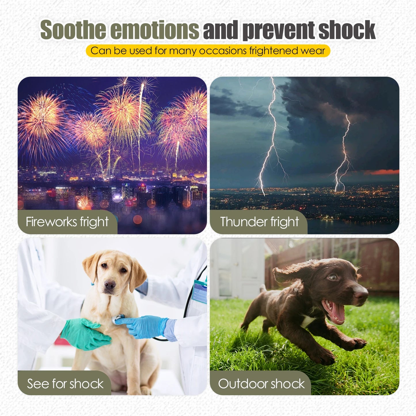 Dog Recovery Suit - Post-Surgery Comfort & Protection