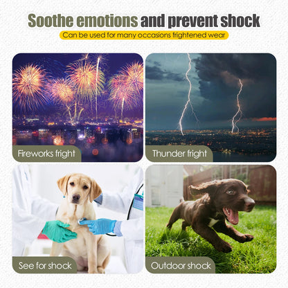 Dog Recovery Suit - Post-Surgery Comfort & Protection