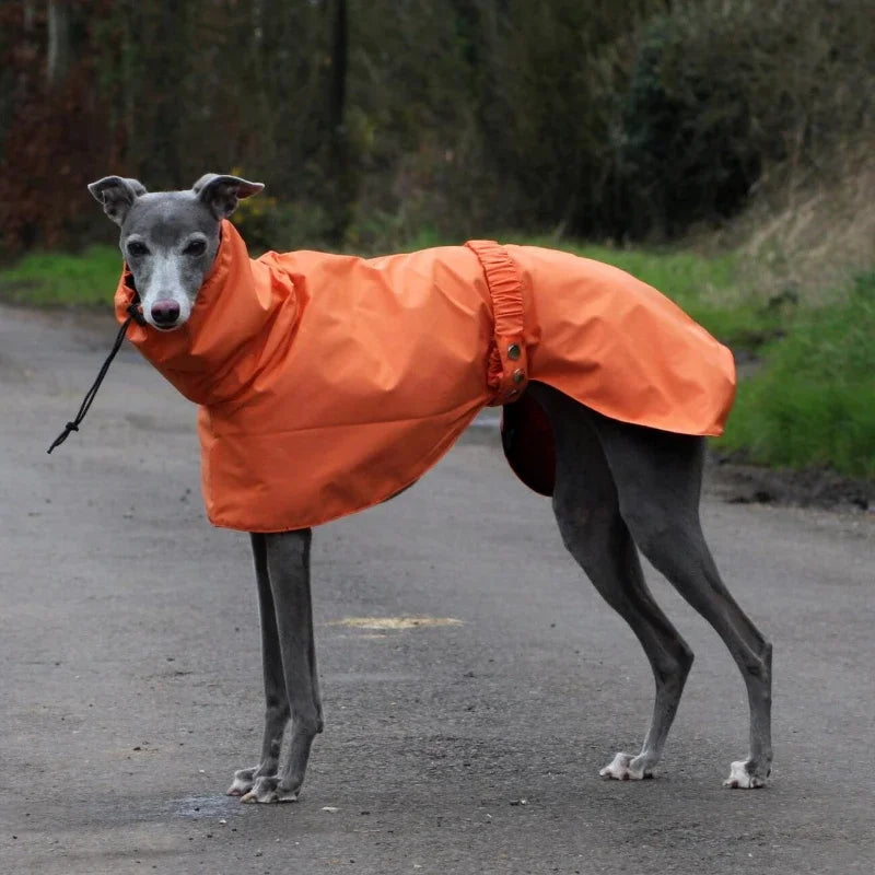 Rain Jacket - Waterproof Polyester Coat for Large Breeds
