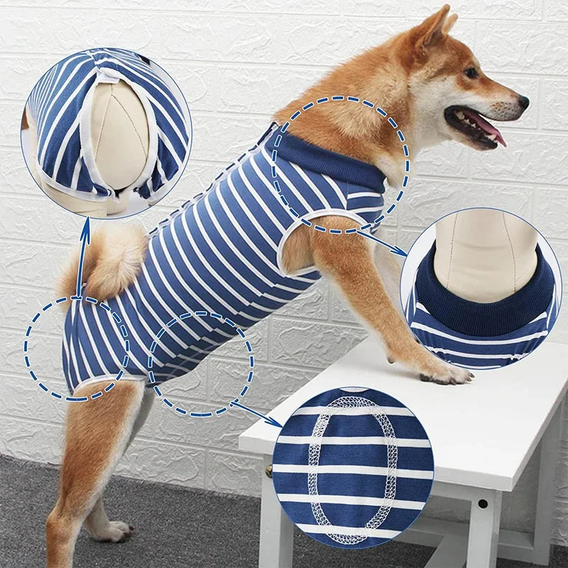 Dog Recovery Onesie – Post-Surgery Protective Vest
