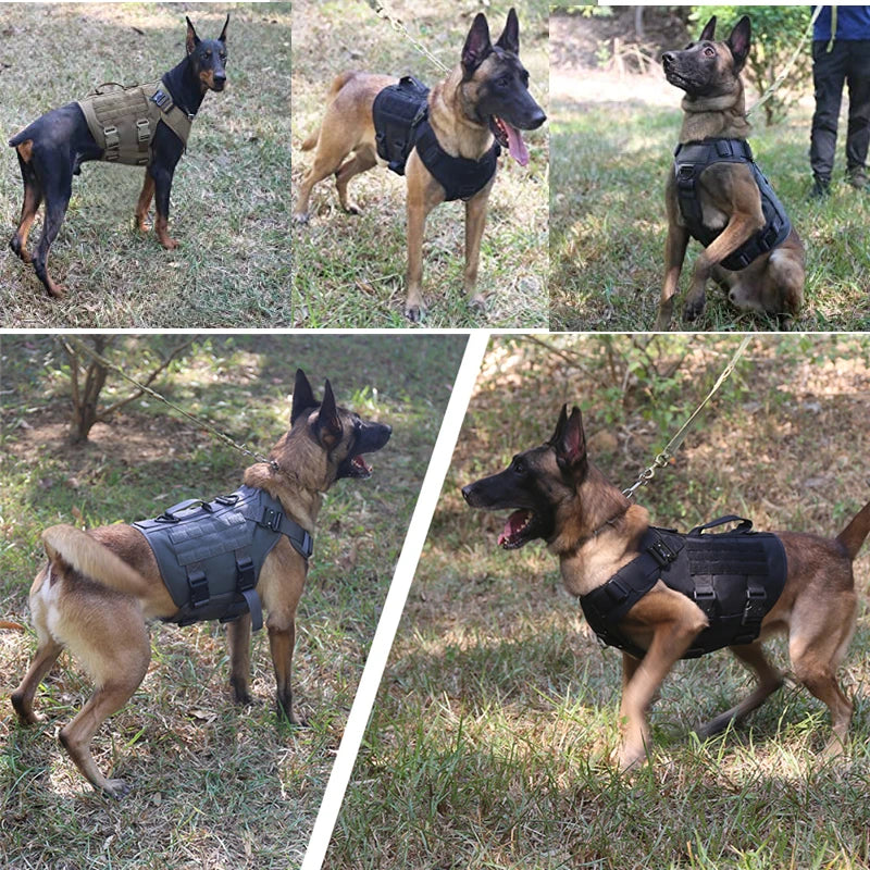 Tactical Vest Dog Harness & Leash – All Breeds