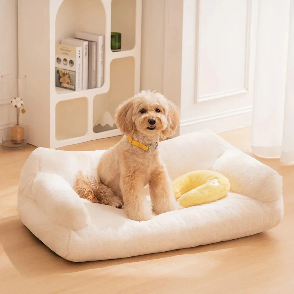 All-Season dog Sofa & Pet House – Cozy Bed for Dogs
