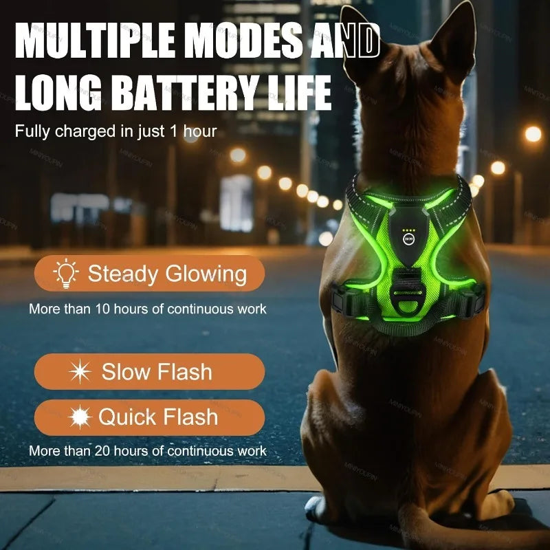 LED Rechargeable Dog Harness - Glowing Safety Vest for Night Walking