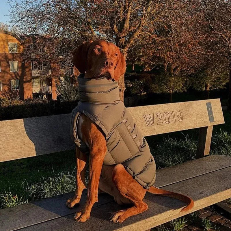 Winter Coat - Fleece Down Jacket for Dogs