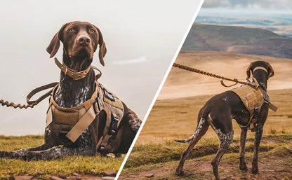 Tactical Vest Dog Harness & Leash – All Breeds