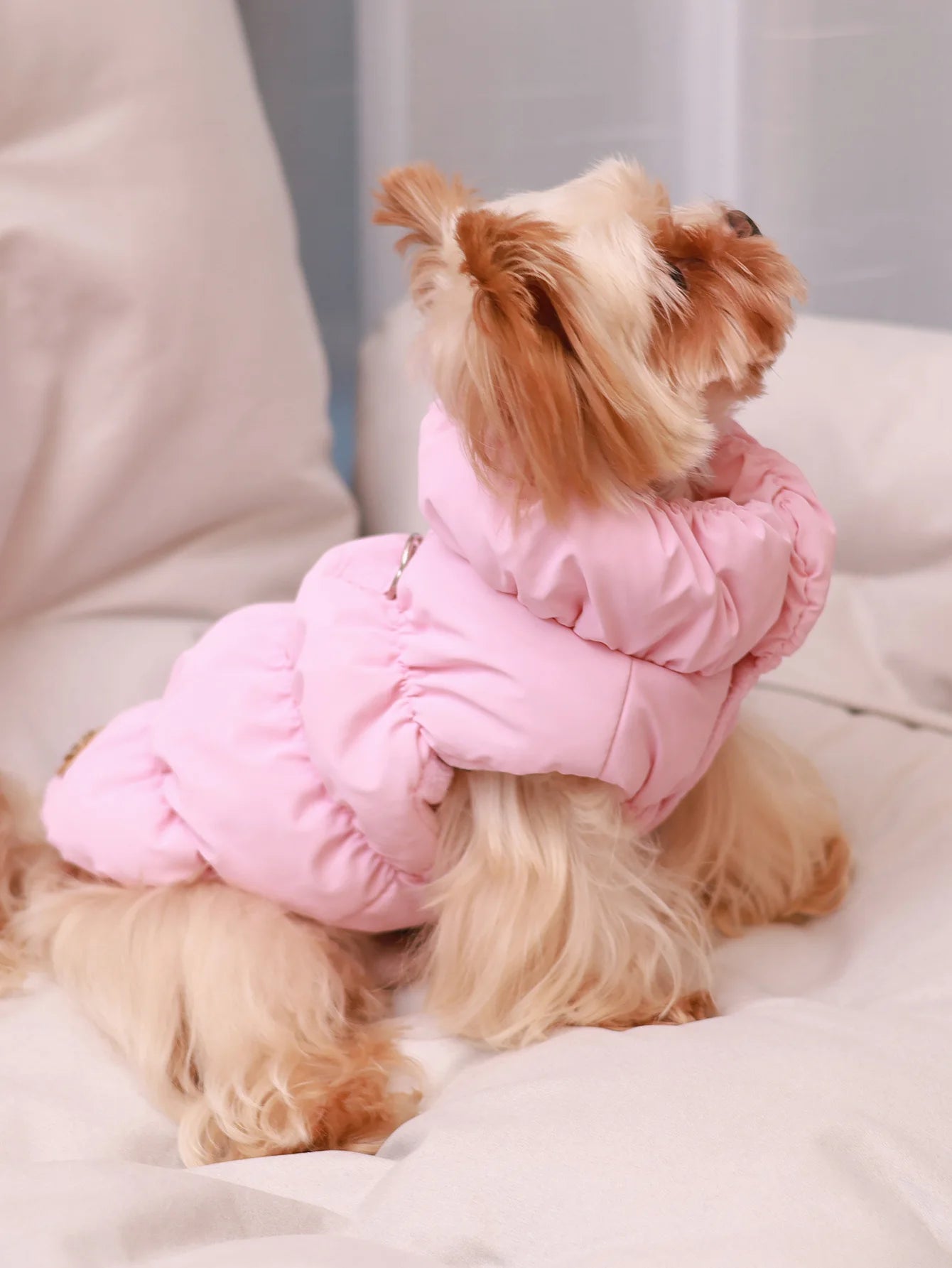 3-Layer Winter Jacket - Small to Medium Breeds