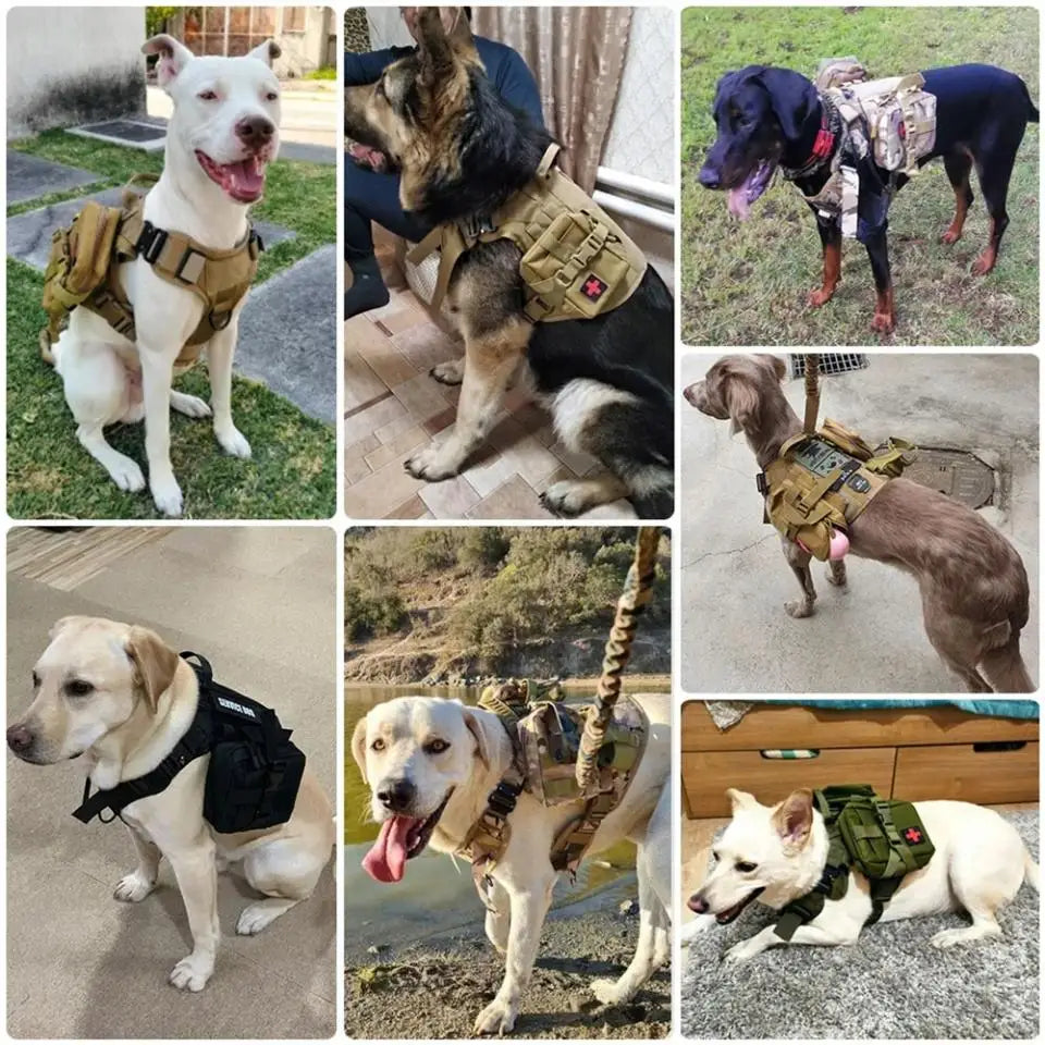 Tactical Dog Vest Harness with Leash & Molle Pouches – Adjustable